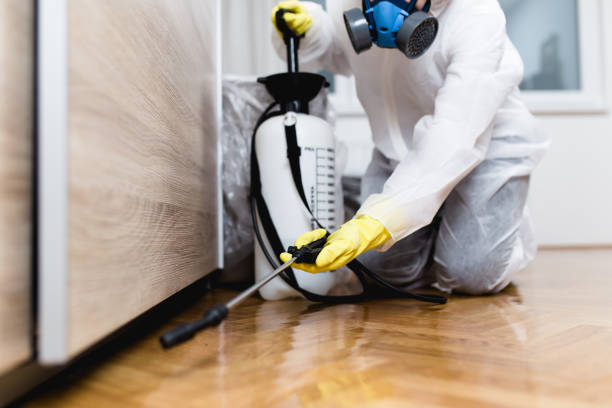 Best Pest Removal Services  in Cicero, IL