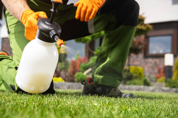 Insect Control in Cicero, IL