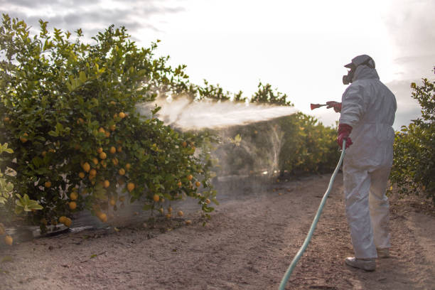 Best Pest Control Near Me  in Cicero, IL