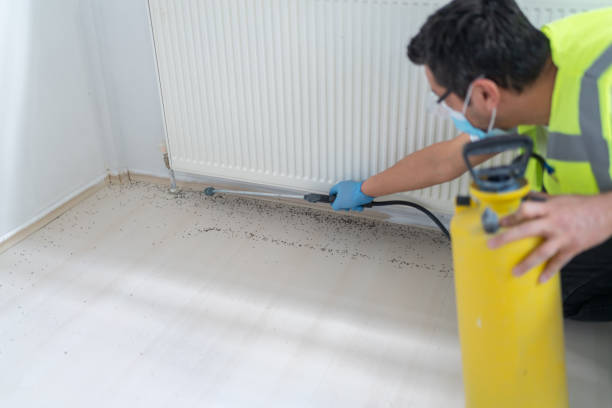 Professional Pest Control in Cicero, IL