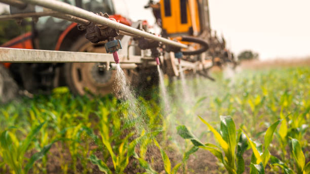 Best Commercial Pest Control Services  in Cicero, IL
