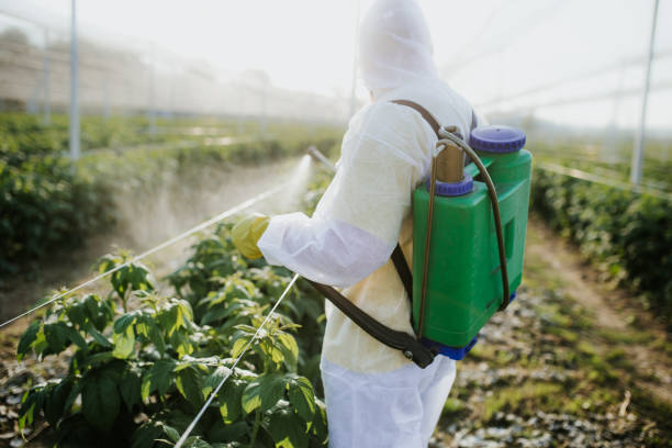 Best Insect Control  in Cicero, IL